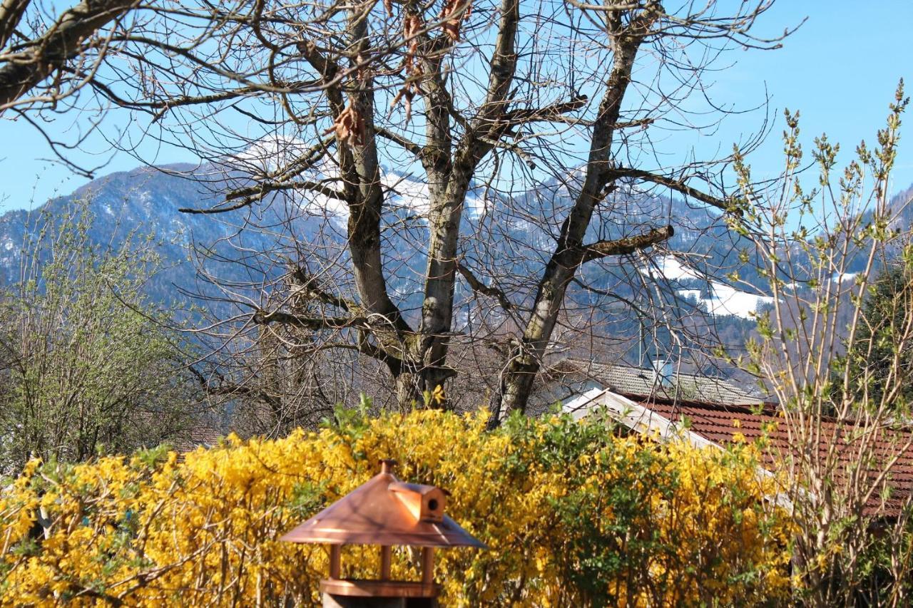 Fetznhof-Zuhaus Villa Grassau  Exterior foto